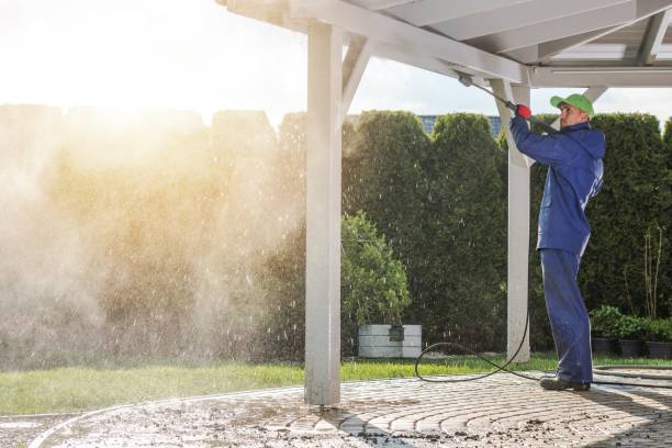 Best Solar Panel Cleaning  in Vincent, AL